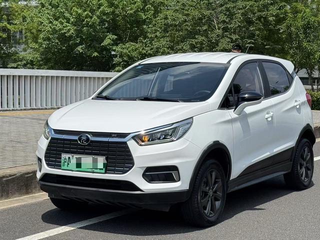 Yuan EV 2019 EV535 Intelligent Link Leader Model