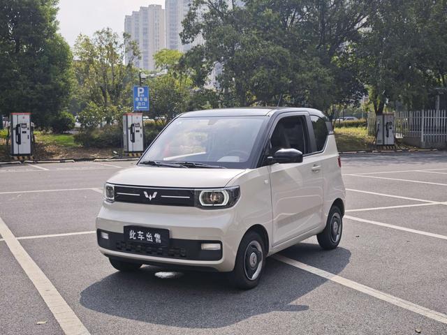 Wuling Hongguang MINIEV 2022 Yuexiang Lithium Iron Phosphate