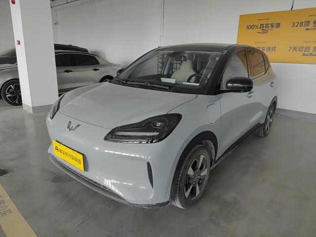 Wuling Bingguo PLUS 2024 510km Ultimate Edition