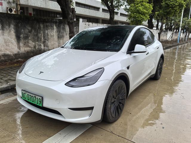 Model Y 2021 Standard Range Rear-Wheel Drive