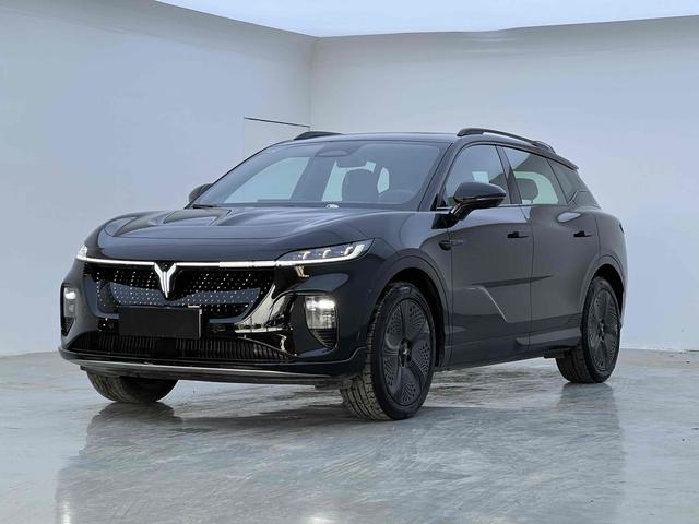Landu Soulmate 2024 Four-wheel drive Global Edition