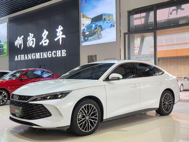 Qin L DM 2024 DM-i 120KM Excellent Type