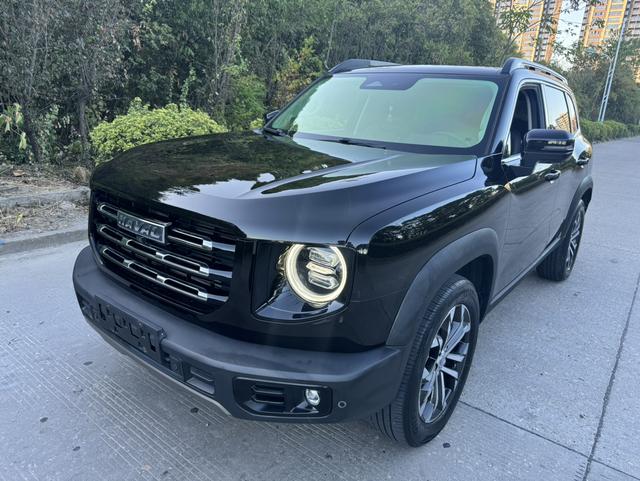 Havoc Big Dog 2022 1.5T 2WD Border Ranch Edition