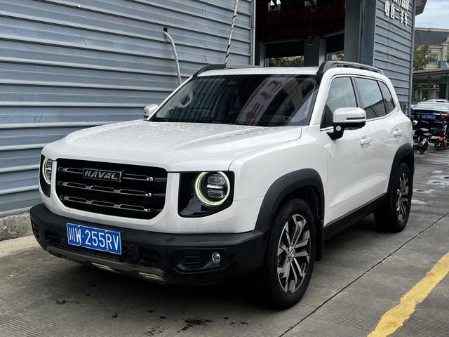 Havoc Big Dog 2021 1.5T 2WD Horse Dog Edition