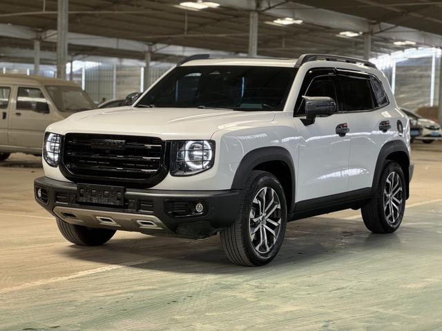 Havoc Big Dog 2022 1.5T 2WD Border Ranch Edition