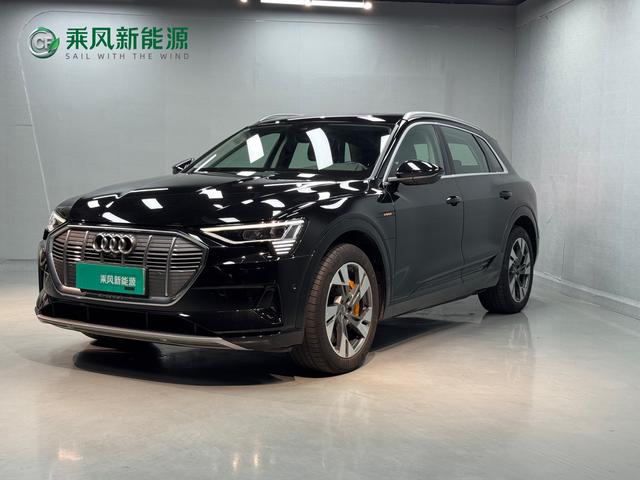 Audi e-tron (Import) 2019 55 quattro technology model year