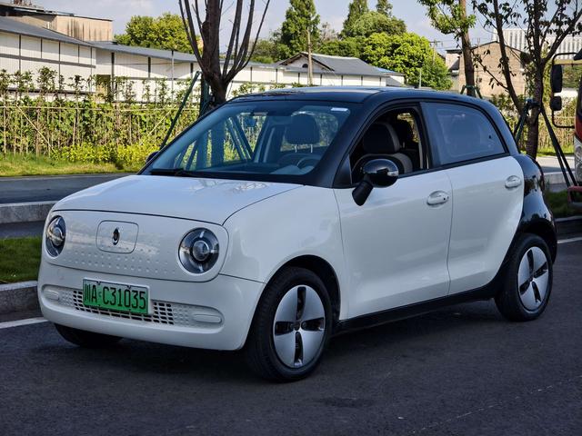 Euler Black Cat 2021 Model 301km Basic Type