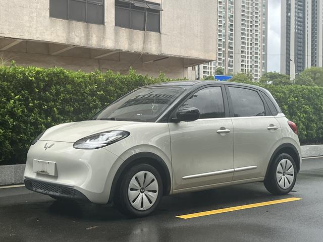 Wuling Colorado 2023 203KM Light Enjoyment Model