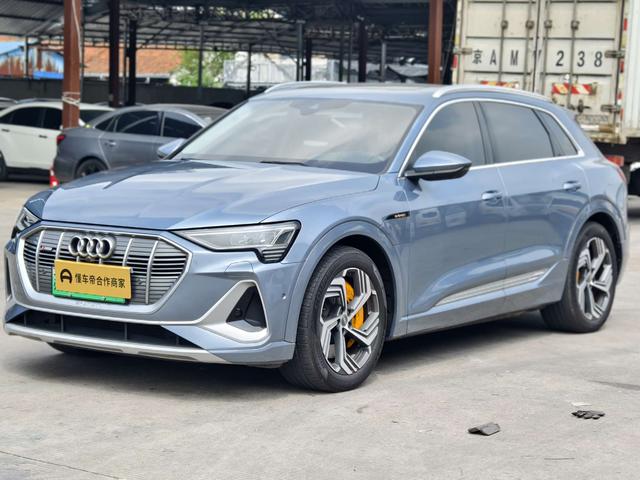 Audi e-tron 2021 50 quattro Pegasus