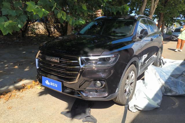Haval H6 2021 National Tide Edition 1.5T Auto Champion Edition