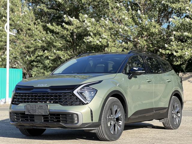 Lion Platinum Tuojie 2023 2.0L HEV Two-wheel drive Ultimate Edition