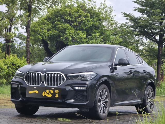 BMW X6 2021 xDrive30i M Sport Package