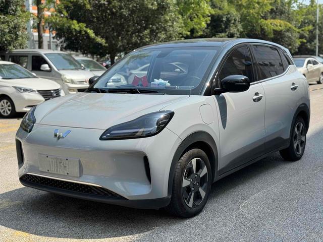 Wuling Bingguo PLUS 2024 510km Ultimate Edition