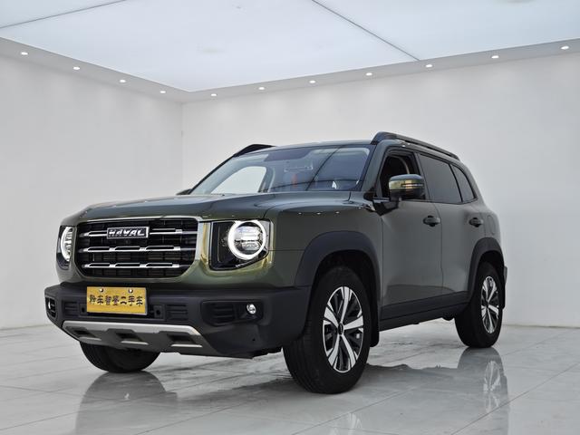 Havoc Big Dog 2021 1.5T 2WD Labrador Edition