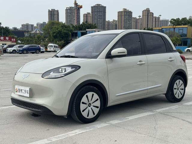 Wuling Colorado 2023 203KM Light Enjoyment Model