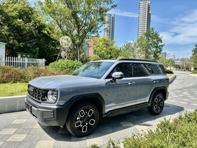 Haval Cool Dog 2022 1.5T Tide Sound Version