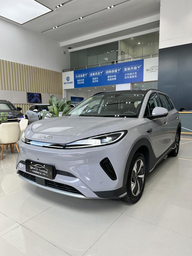 Sea Lion 05EV 2025 520KM Smart Aviation Version