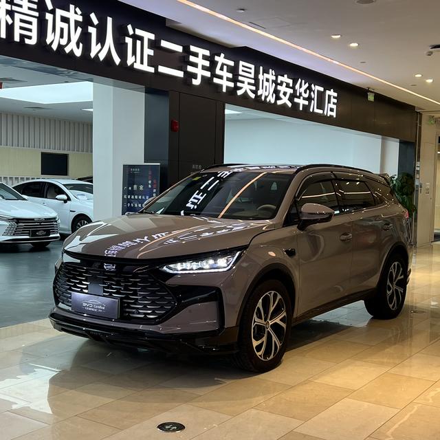 Tang DM 2025 Smart Driving Version DM-i 115KM flagship Model