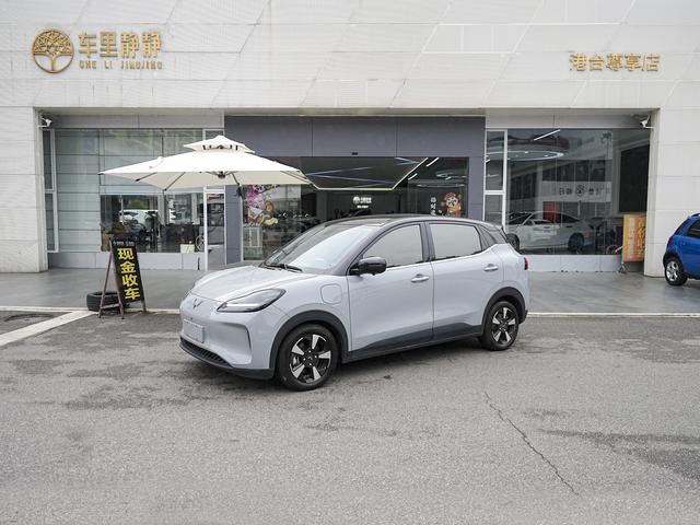 Wuling Bingguo PLUS 2024 510km Ultimate Edition