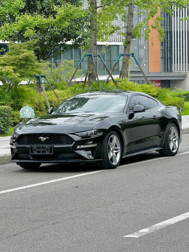 Mustang 2019 2.3T EcoBoost Performance Plus