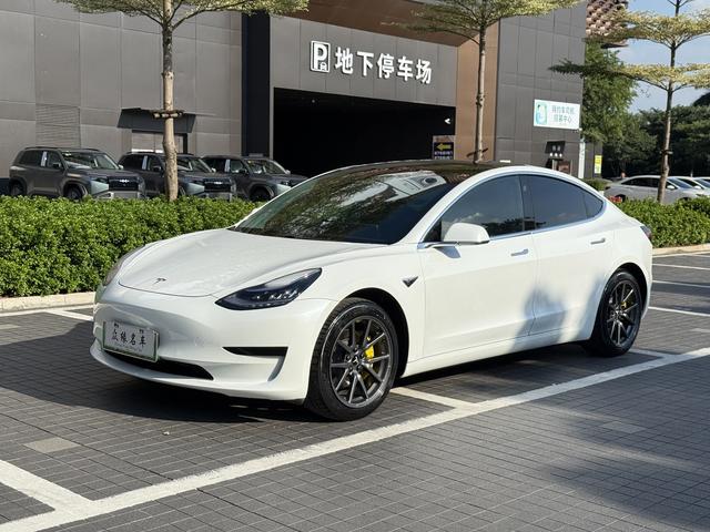 Model 3 (Import) 2019 Standard Range Rear Drive Upgrade