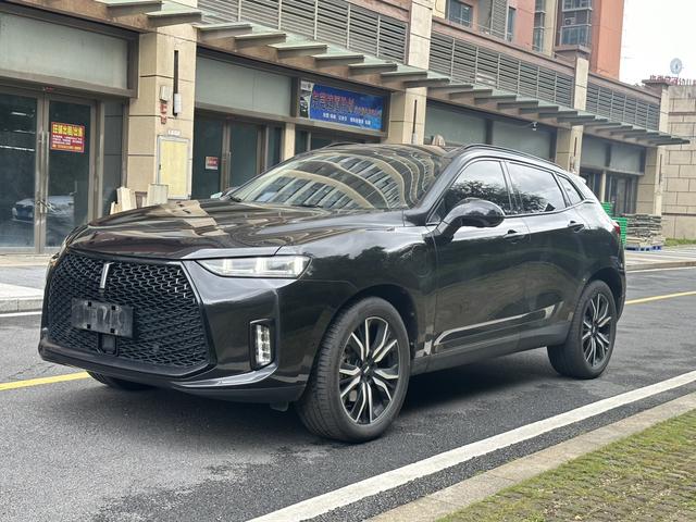 Wei brand P8 2018 2.0T flagship model