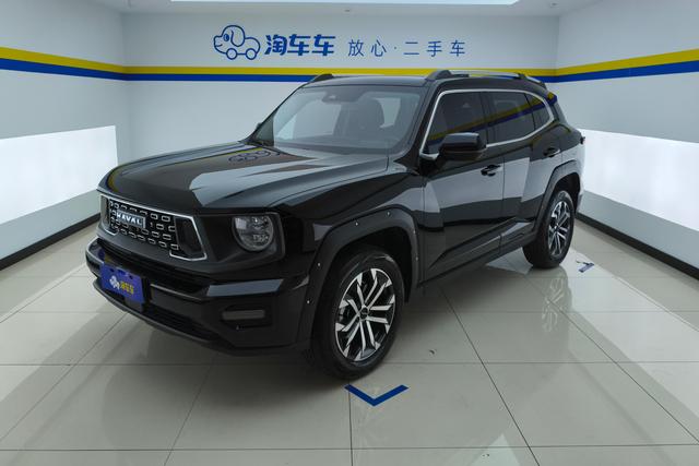 Haval Big Dog PLUS 2023 1.5T two-wheel drive Tide Wild Version Plus
