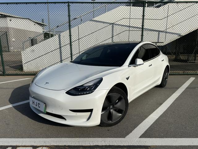 Model 3 (Import) 2019 Standard Range Rear Drive Upgrade