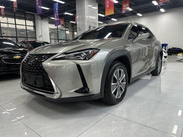 Lexus UX EV 2020 300e Pure-Joy