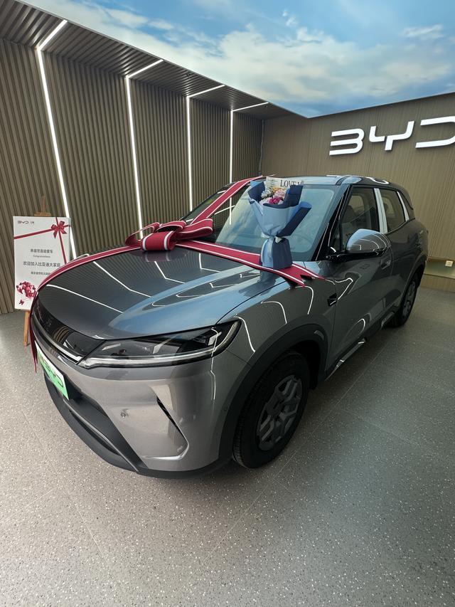 Yuan UP 2025 Smart Driving Version 401KM Vitality Version