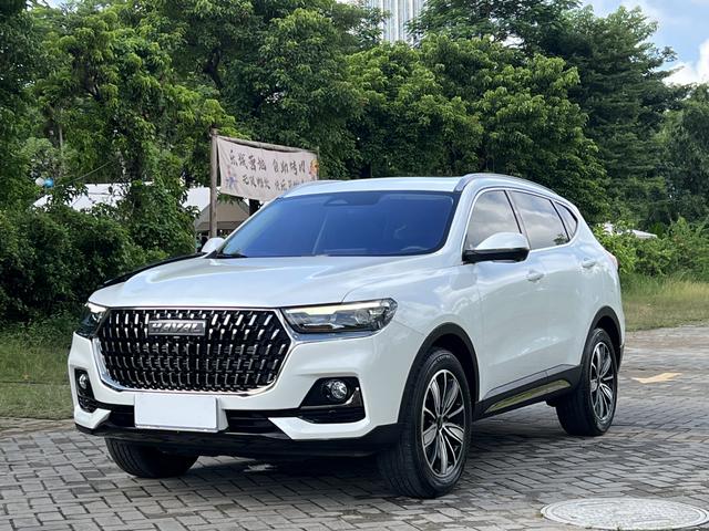 Haval H6 2023 National Tide 1.5T Auto Champion Edition