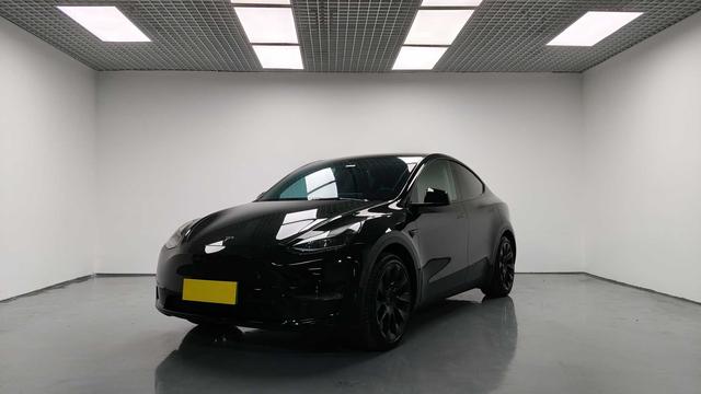 Model Y 2021 Standard Range Rear-Wheel Drive