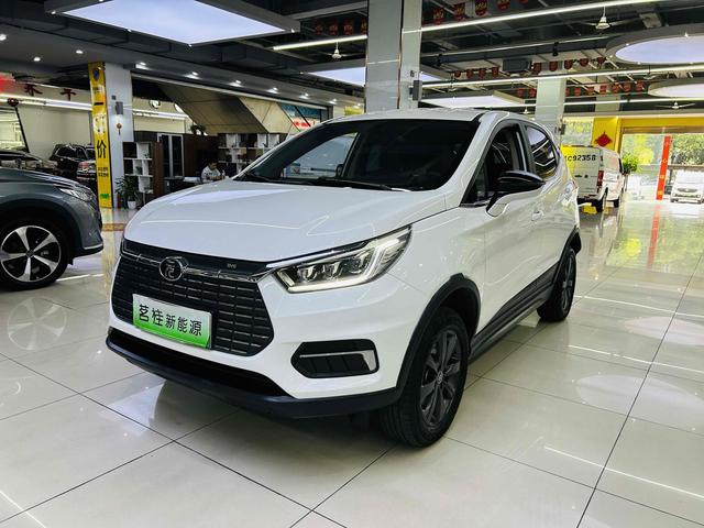 Yuan EV 2019 EV535 Intelligent Link Leader Model