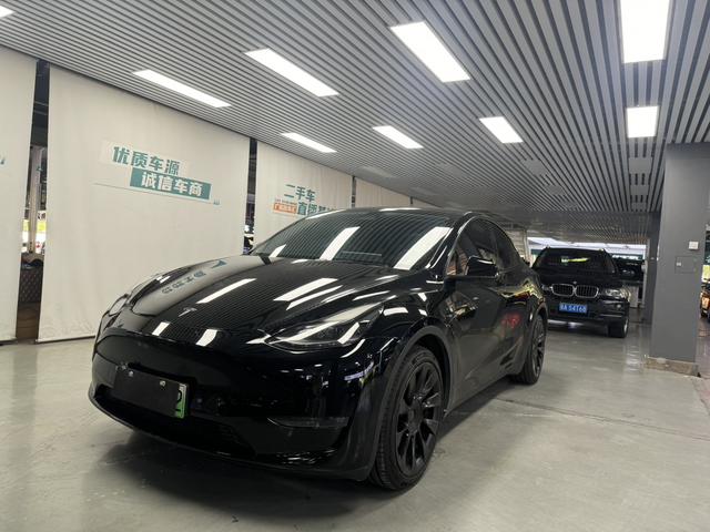 Model Y 2021 Standard Range Rear-Wheel Drive