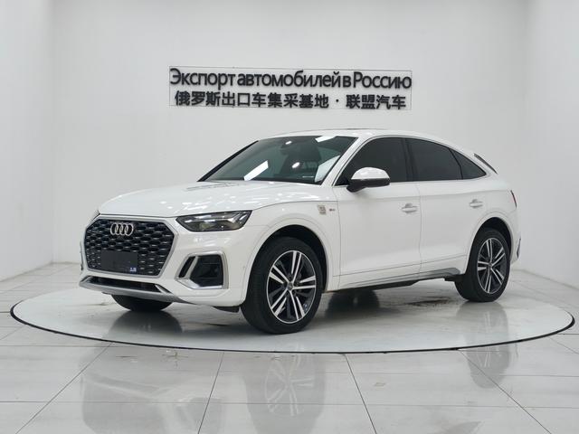 Audi Q5L Sportback 2021 40 TFSI Luxury