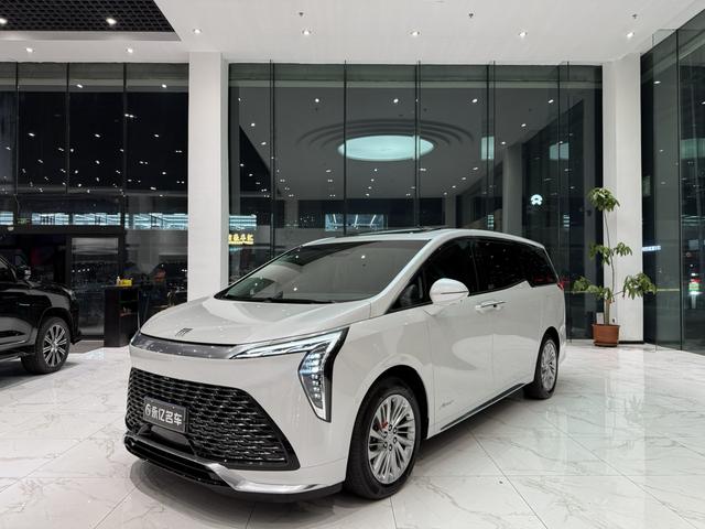 Century 2023 2.0T Six-Seat Embracing World Edition