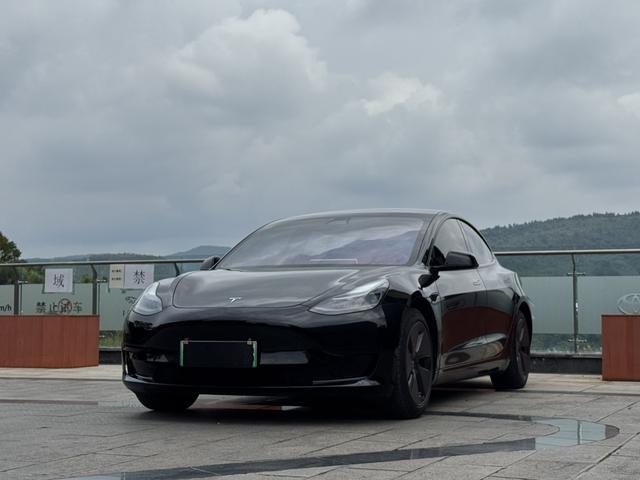 Model 3 2021 Standard Range Rear Drive Upgrade
