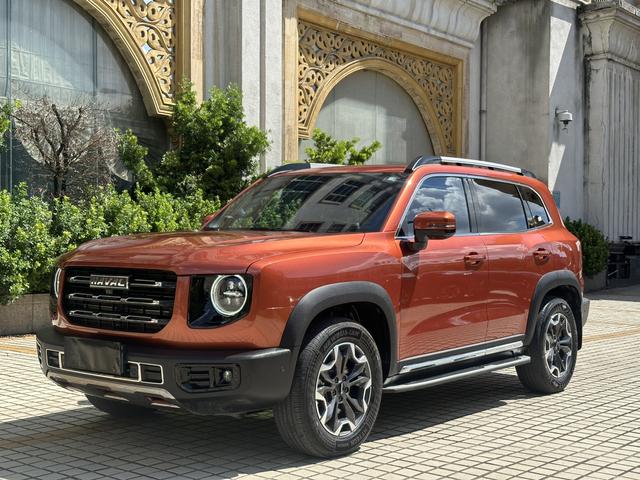 Havoc Big Dog 2021 2.0T 4WD Chinese Garden Dog Edition