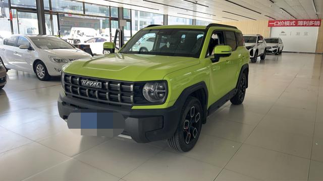 Havoc Cool Dog 2022 1.5T Tide Wild Edition