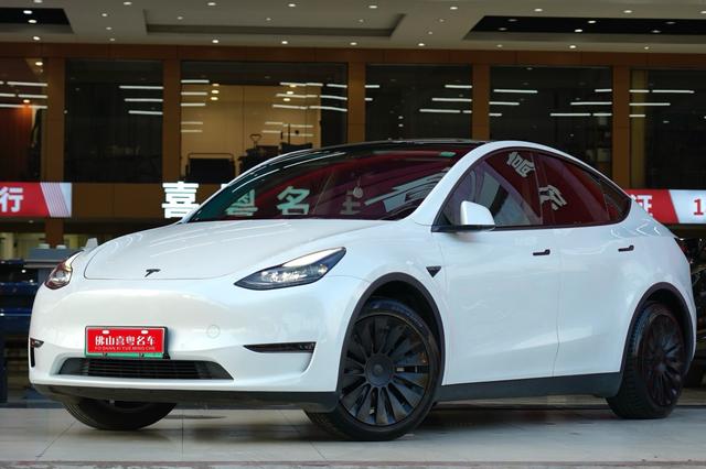 Model Y 2021 Standard Range Rear-Wheel Drive