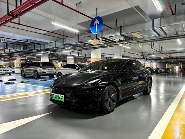 Model 3 2021 Standard Range Rear Drive Upgrade 3D6