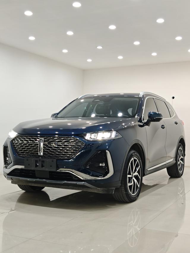 Latte PHEV 2022 1.5T two-wheel drive oversized cup