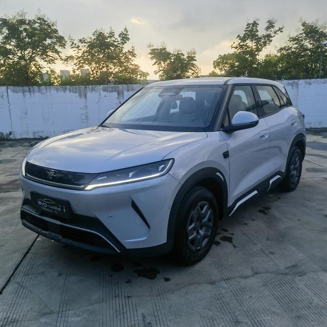 Yuan UP 2025 Smart Driving Version 401KM Vitality Version