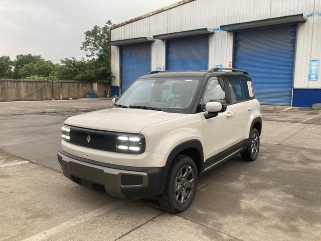 Yueye Plus 2026 301km Ultimate Edition