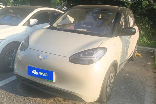 Wuling Colorado 2023 333KM Master Mind Connection+