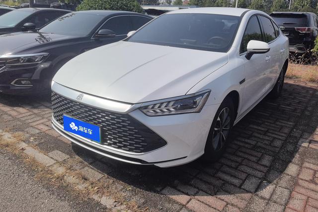Qin PLUS DM 2024 Glory Version DM-i 55KM Leading Type
