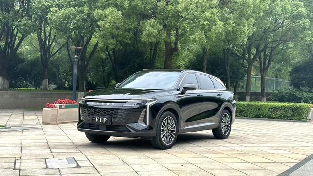 Xingtu Yaoguang 2023 400T Two-wheel drive Premium Flying Fish Version