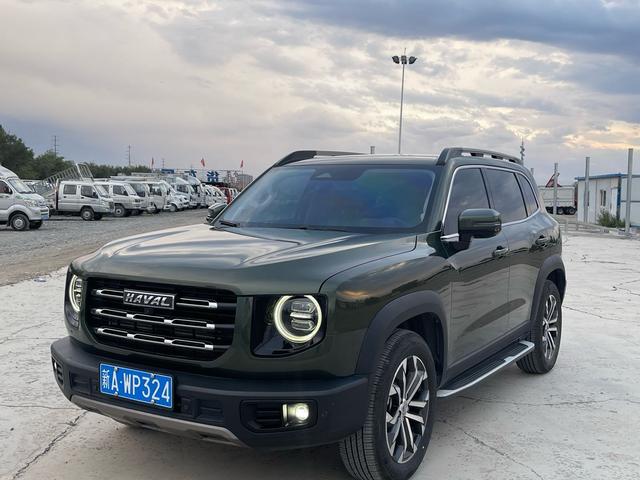 Havoc Big Dog 2022 1.5T 2WD Border Ranch Edition