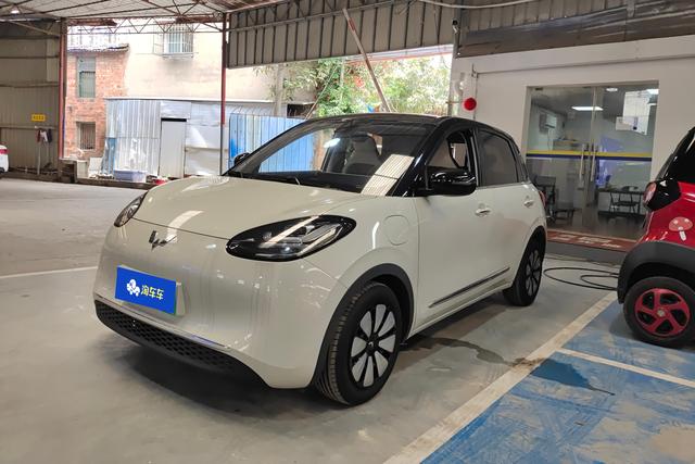 Wuling Colorado 2023 333KM Master Mind Connection Model