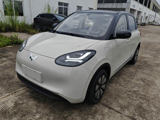 Wuling Bingguo 2025 Model 333KM Yuexiang Model